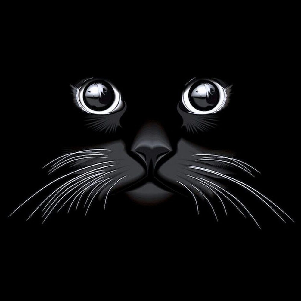 Meet your Posher, Canela